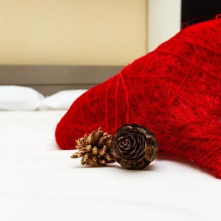 アパートホテル Maison Mati Living 2*